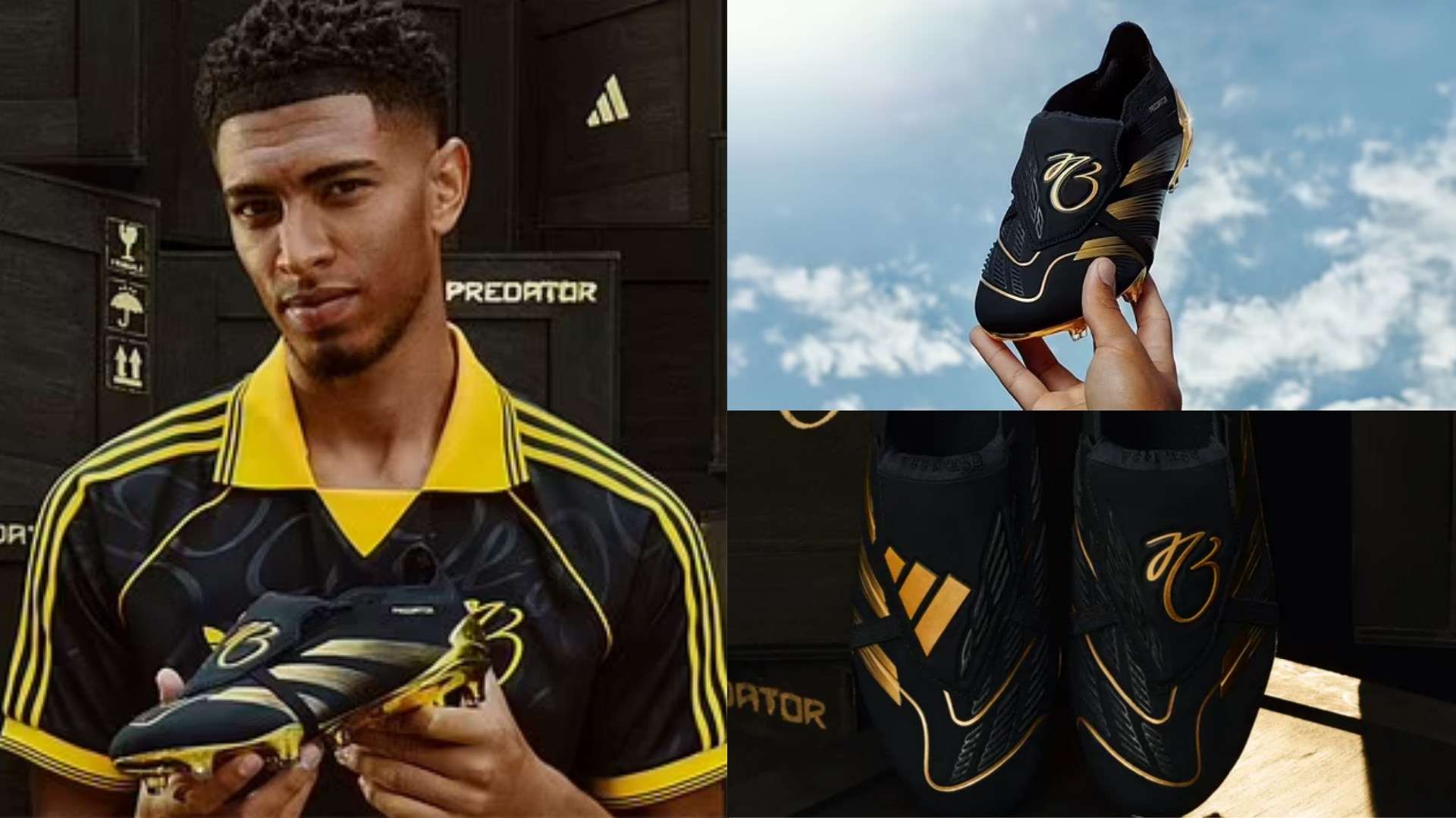 到了库利巴 到了库利巴