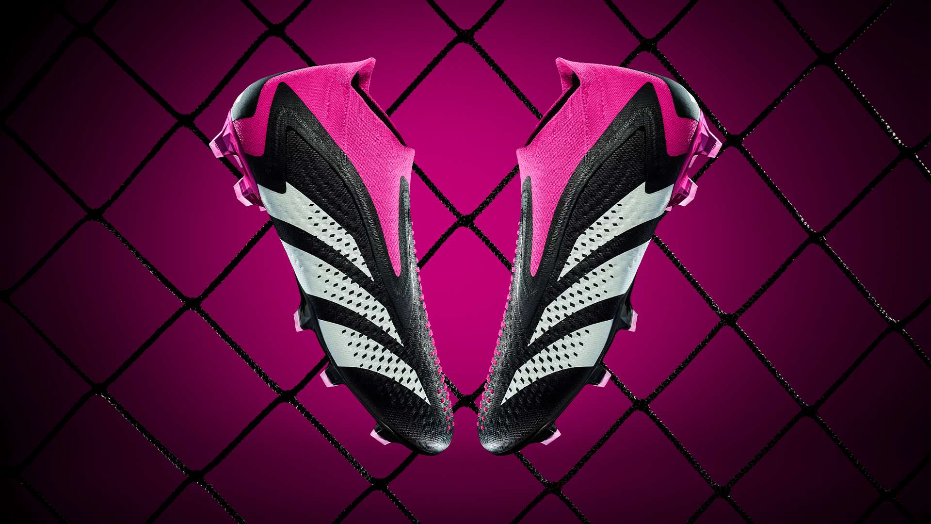 活动来保持 活动来保持