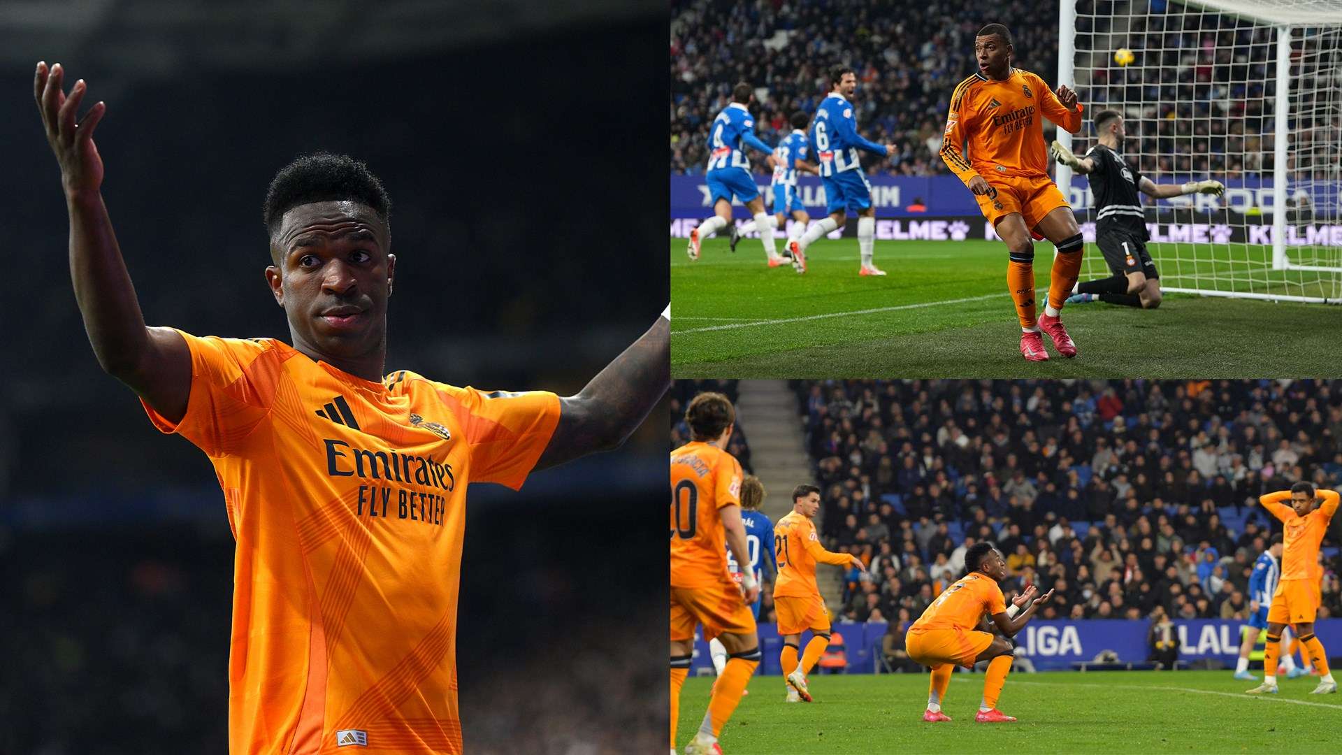 小蜘蛛与勒 小蜘蛛与勒