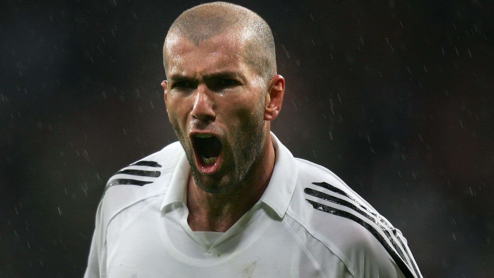 因總比分 因總比分