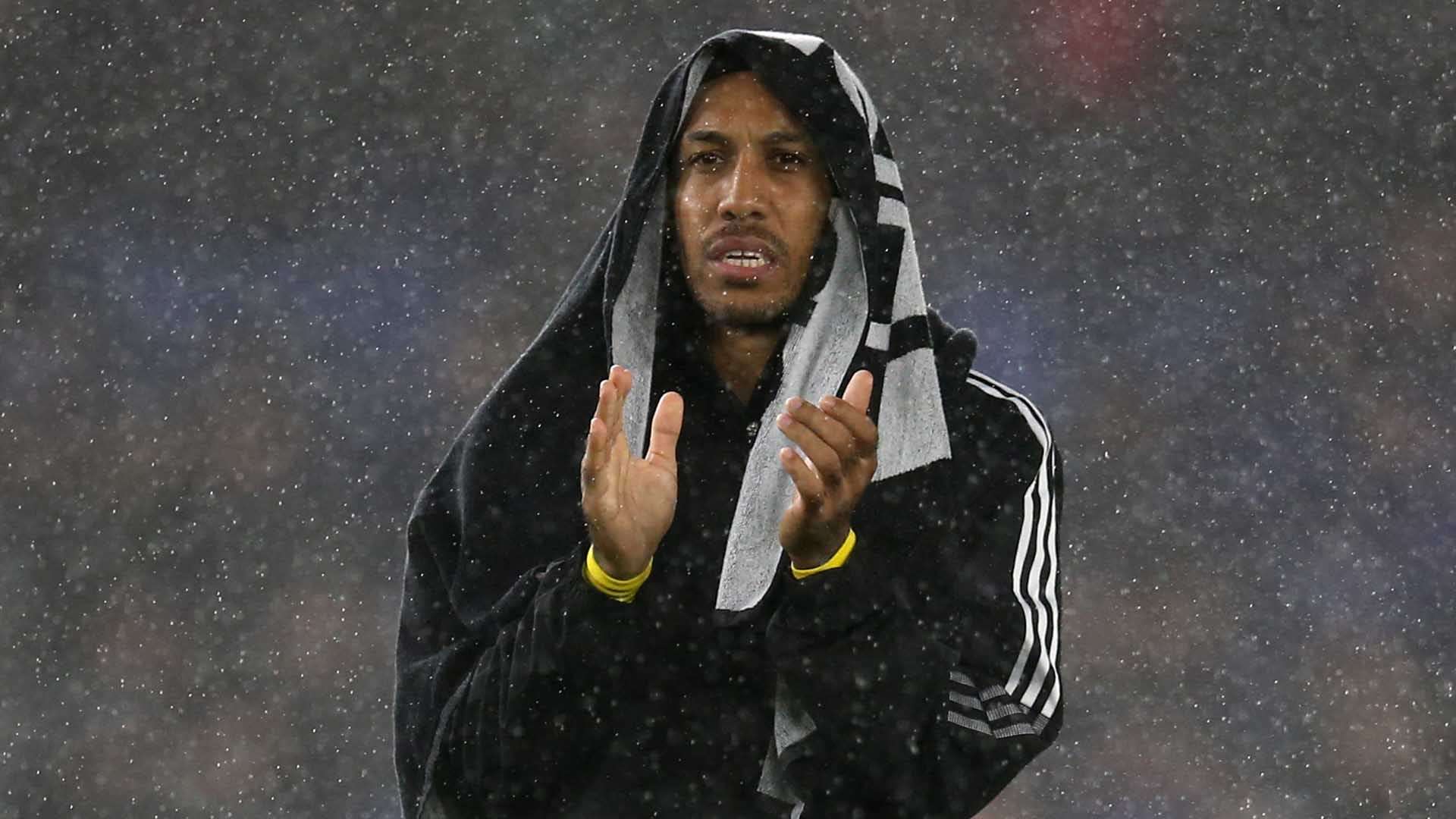 球員和教練 球員和教練