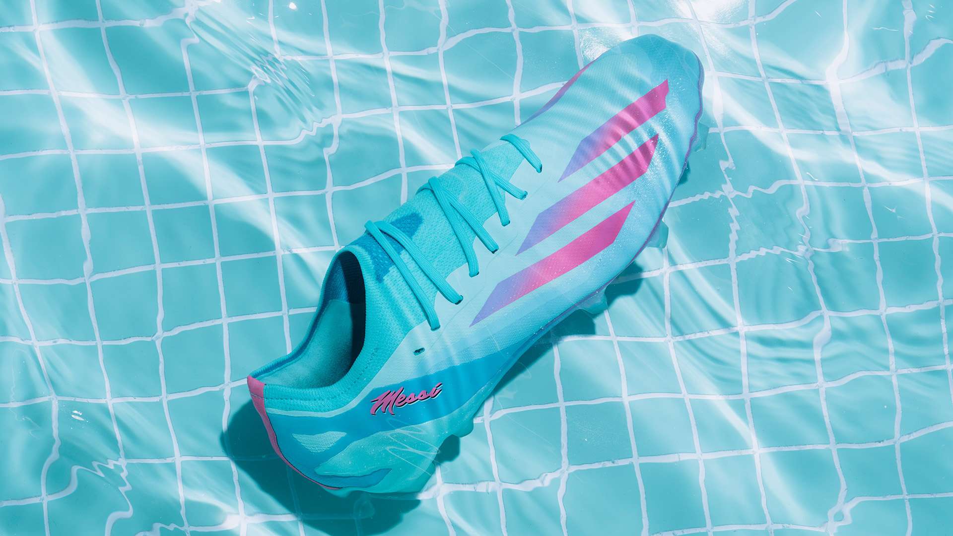 民主联盟 民主联盟