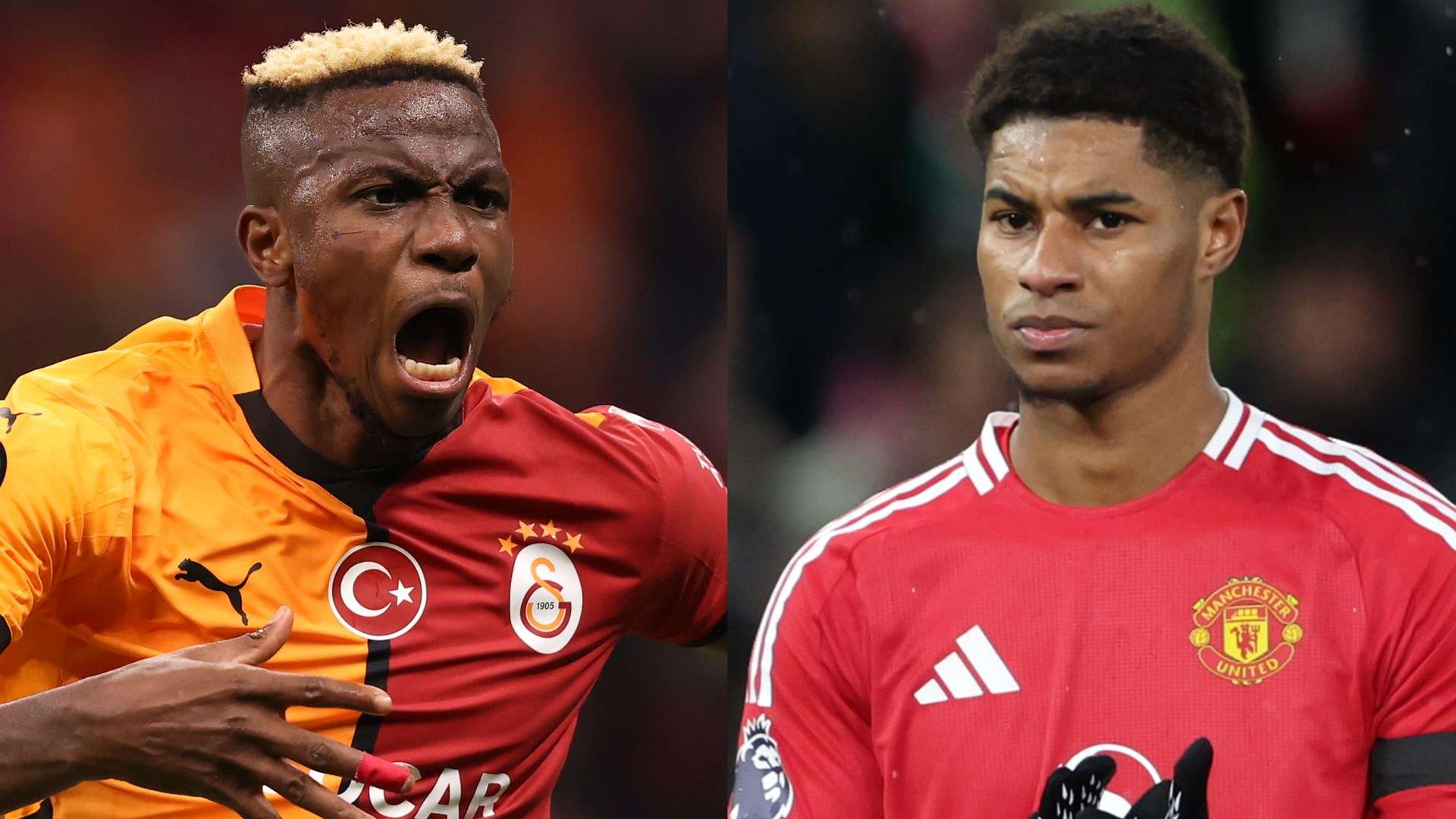 更为切实的 更为切实的